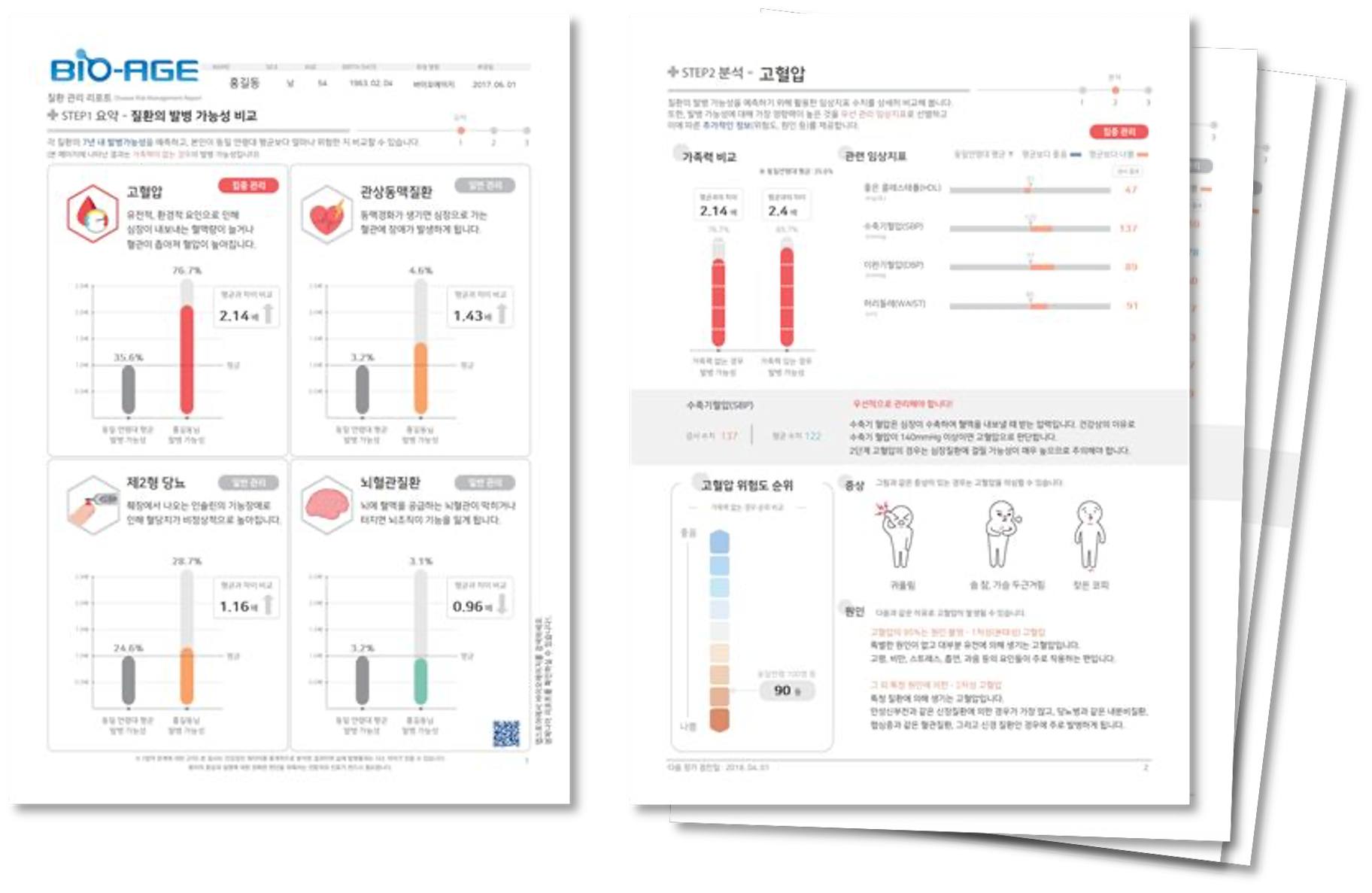 질환위험도 리포트 미리보기