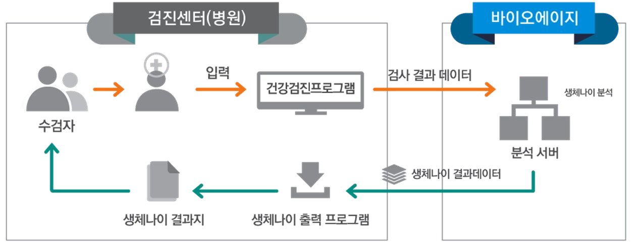 바이오에이지 도입 구조