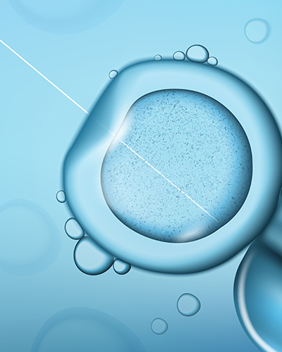 데이터 분석을 수행 중인 연구진